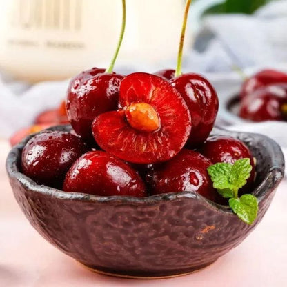 Cherrioxy™️Rainier Cherry Fruit Seeds (100 gms)